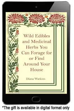 Wild Edible and Medicinal Herbs You Can Forage or Find Around the House.